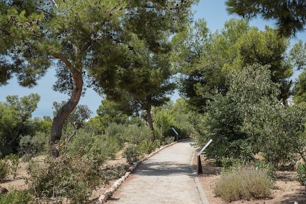 Botanical Garden, Nerja