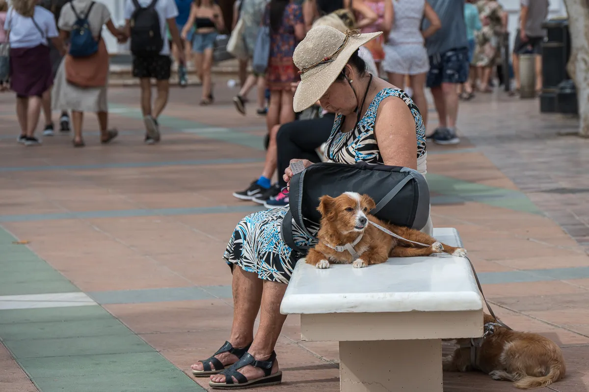 two dogs, Nerja