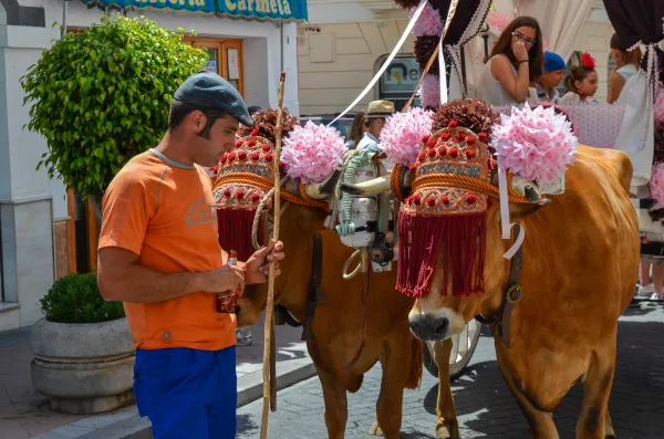 San Isidro, Nerja, Spain