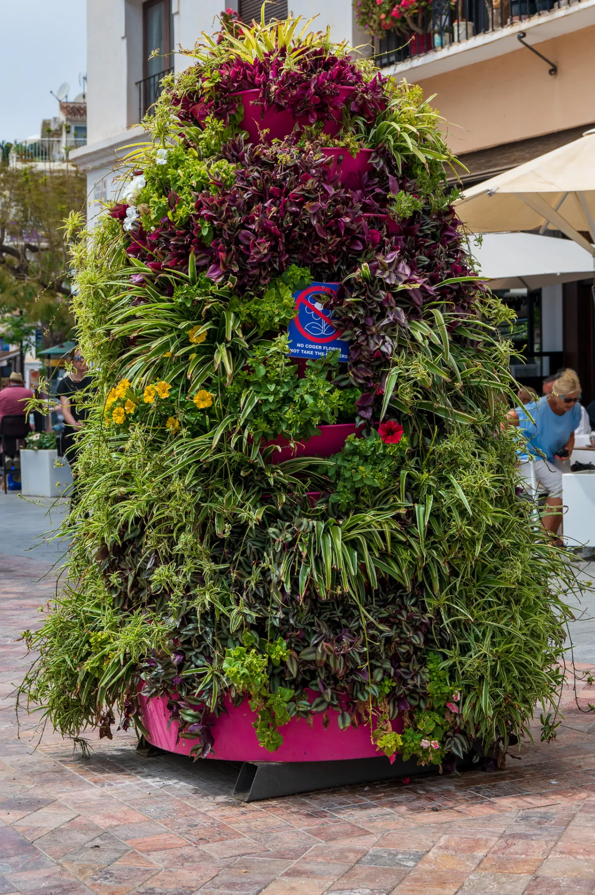 plants, Balcon de Europa, Nerja