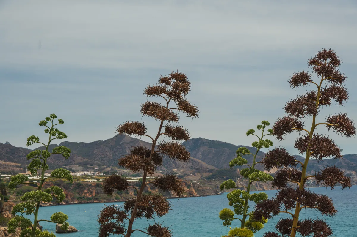 view from the Balcon de Europa, Nerja