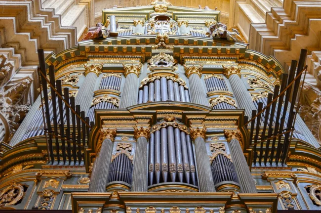 Malaga Cathedral 19