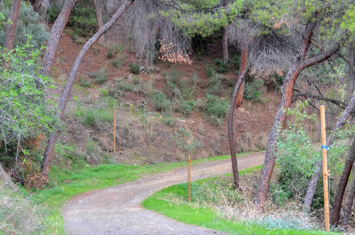 Malaga Botanical Garden 6