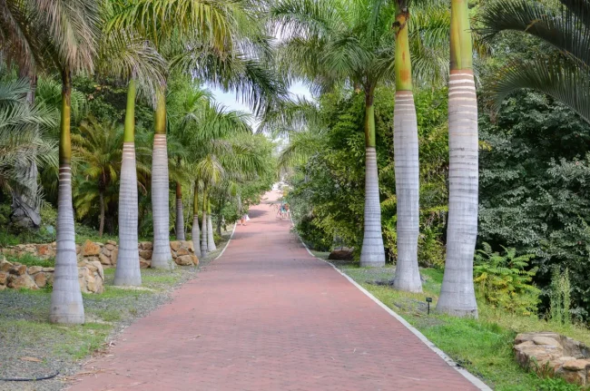 Jardín Botanico La Concepción