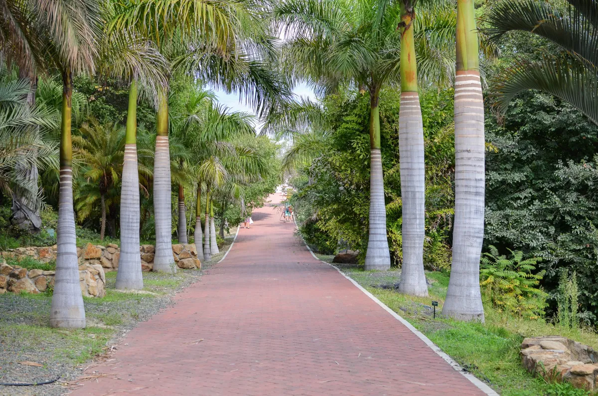 Malaga Botanical Garden 8