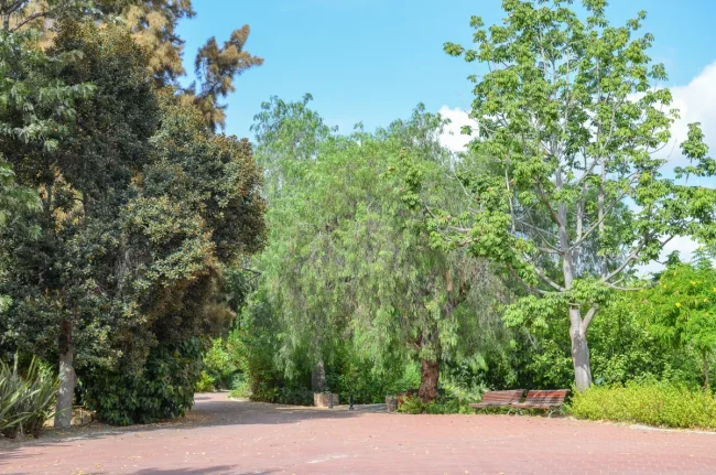 Malaga Botanical Garden 9