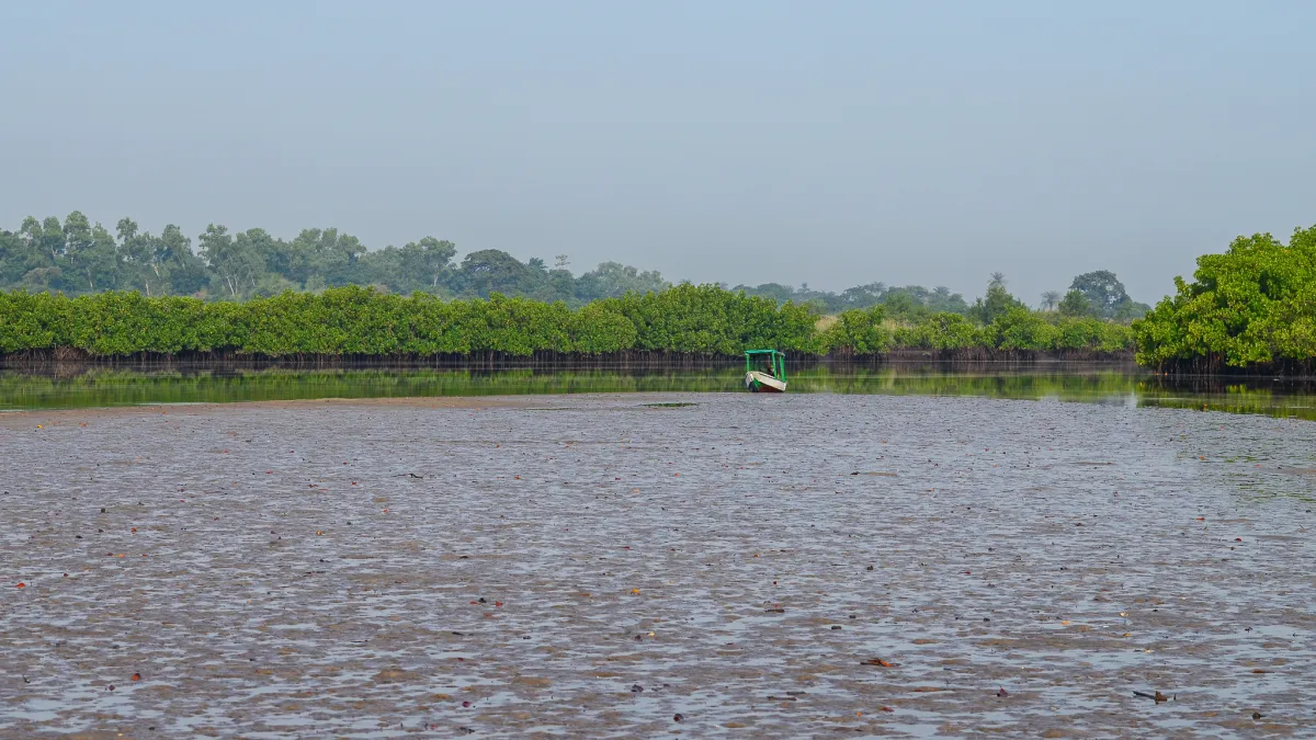 mudflats, The Gambia