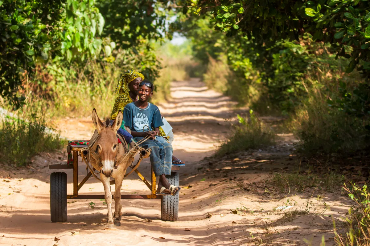 People on donkey cart