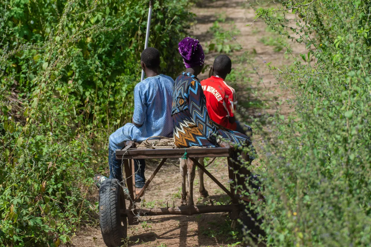 Donkey cart with passengers