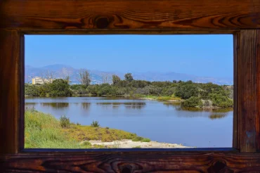 Málaga Birding – Wetlands