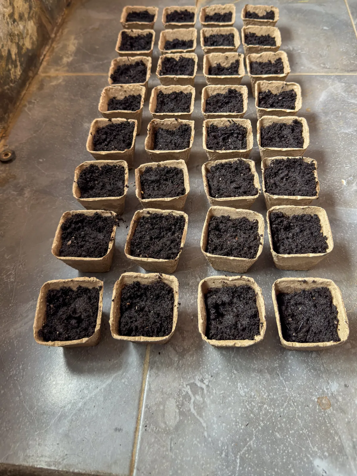 seedling pots