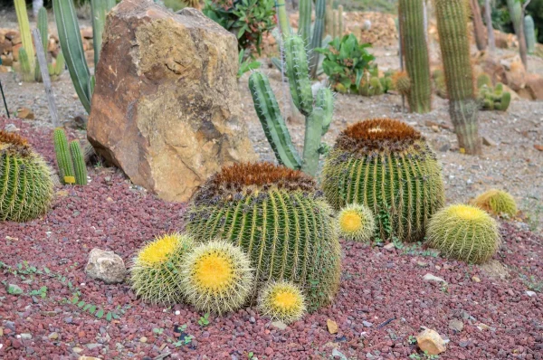 Malaga Botanical Garden 14