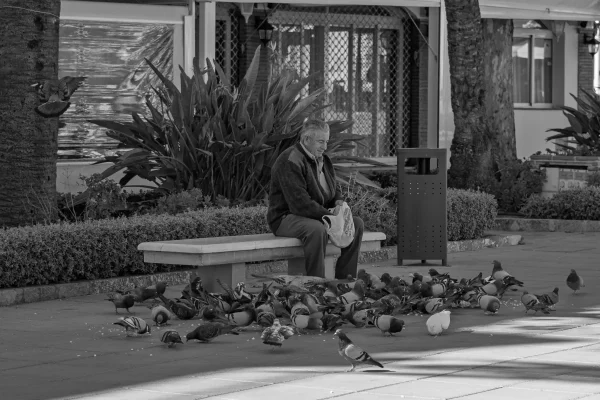 Feeding The Birdies