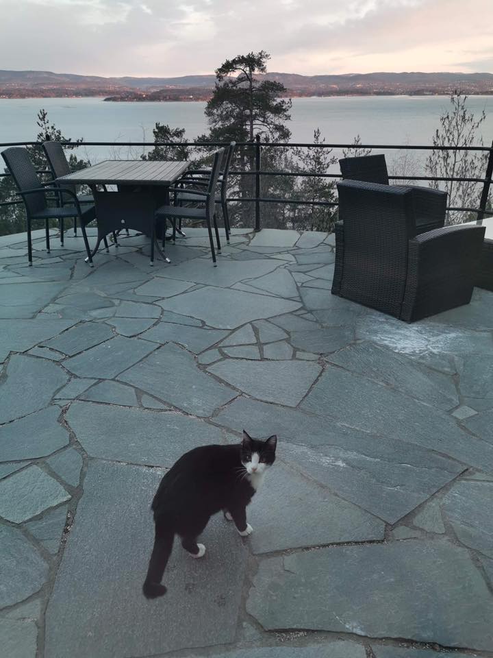 Fighter ❤️ «Der er døra mi. Jeg vet akkurat hvordan jeg finner tilbake dit.»