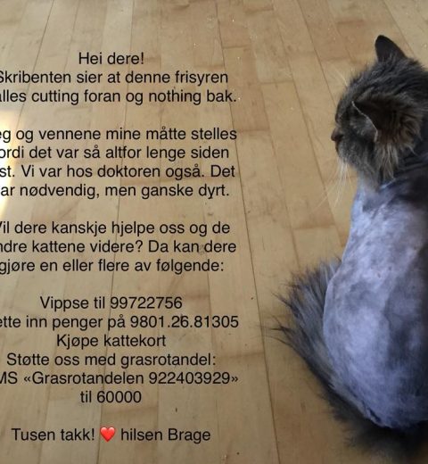 hjelposs Tusen takk! ❤️