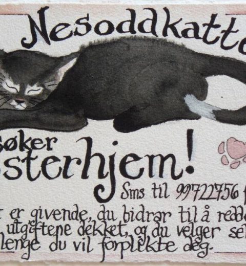 fosterhjem-søk Spre ordet, vær så snill! ❤️