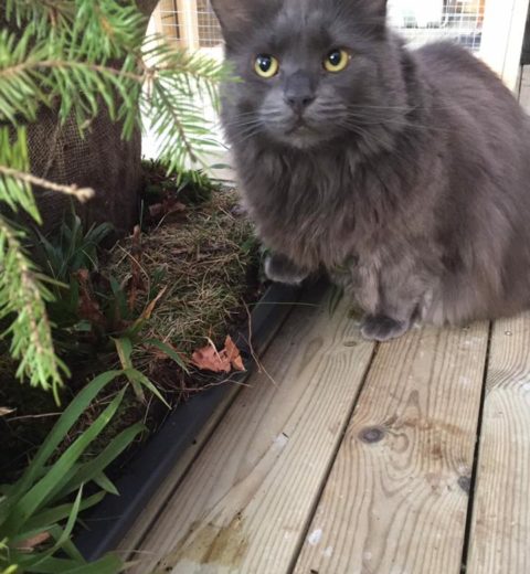 Tessa ❤️ holder en pote på at denne lille hagen burde oppkalles etter henne.