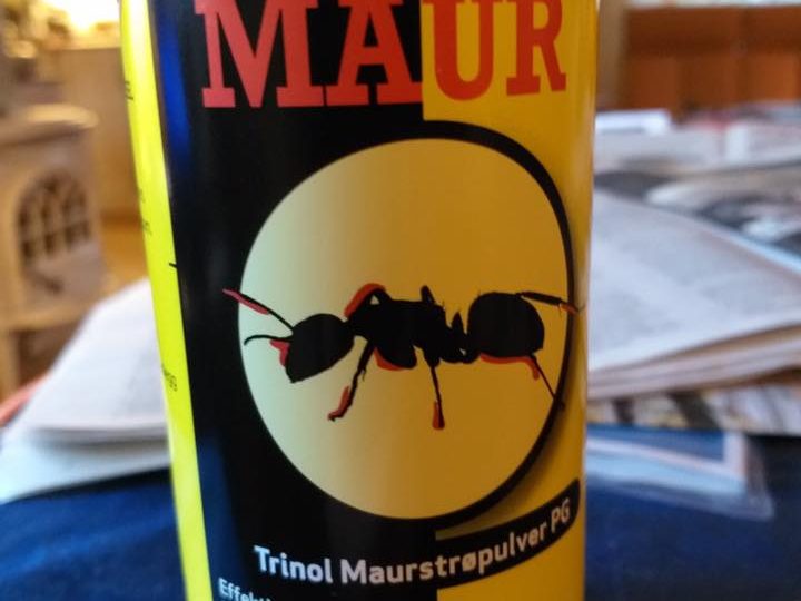 Maur Dette middelet er farlig for katter! Ikke kjøp det!