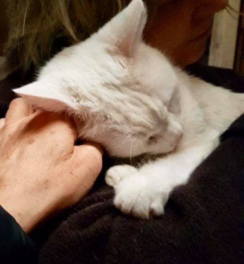 «Kosestund med My» 2