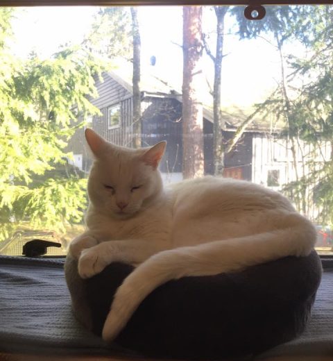 - og slappe av plass -