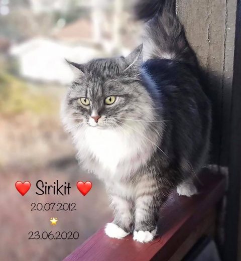 ❤️?❤️