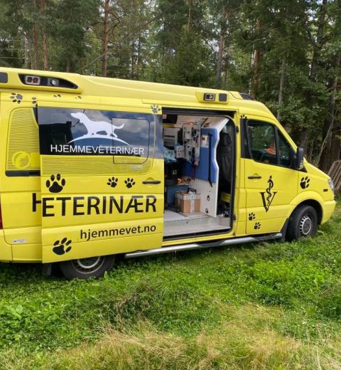 Hjemmevet1_30.08.20 Hjemmeveterinæren pent parkert på tunet. Takk for bildene av bilen og kattene i den, Stefan Feterik!