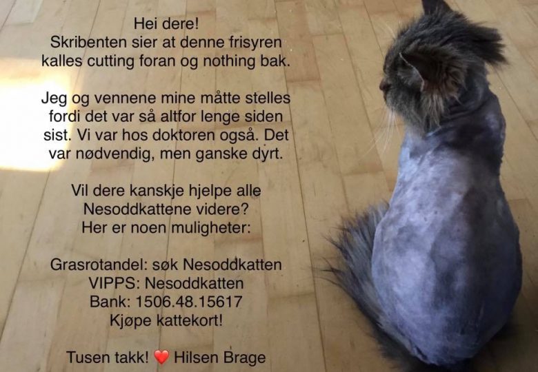 plakaten-ny Velkjent bilde med nye opplysninger.