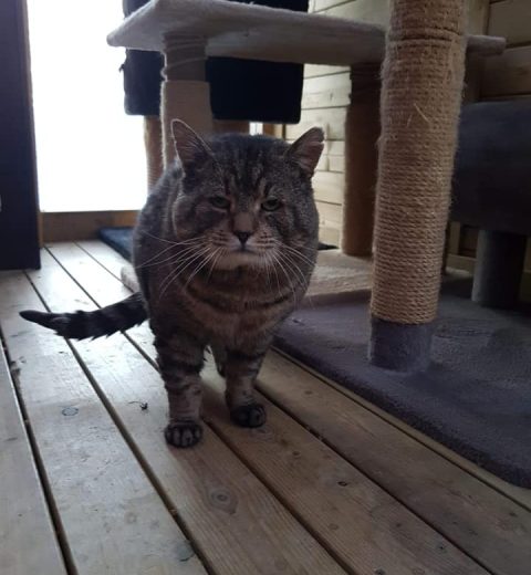 Mikki3_31.01.21 - Jeg er ikke så sikker på at han kan få låne den særlig lenge.