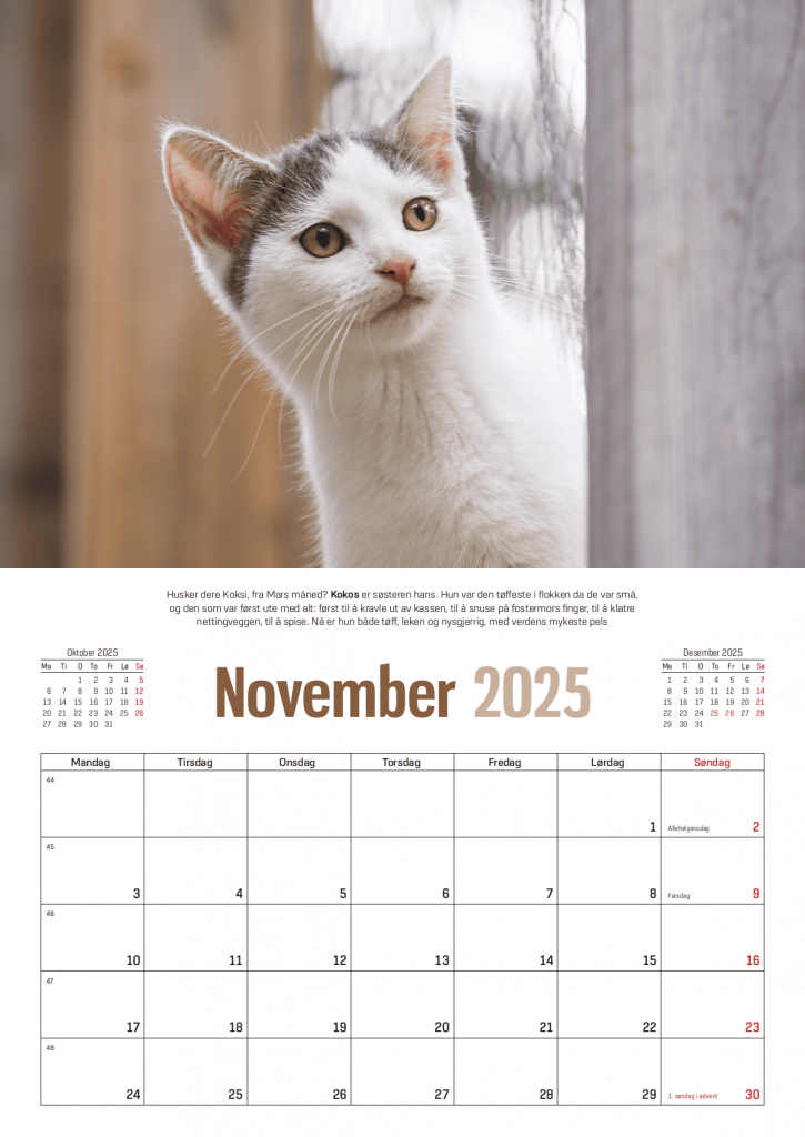 Kalender-november