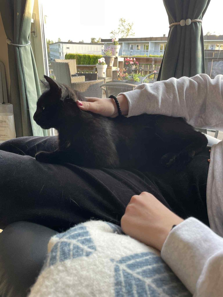 En sort katt får kos