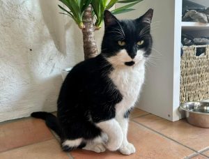 … i likhet med Charlie ❤️ …