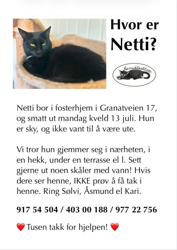 Etterlysningsplakat Netti