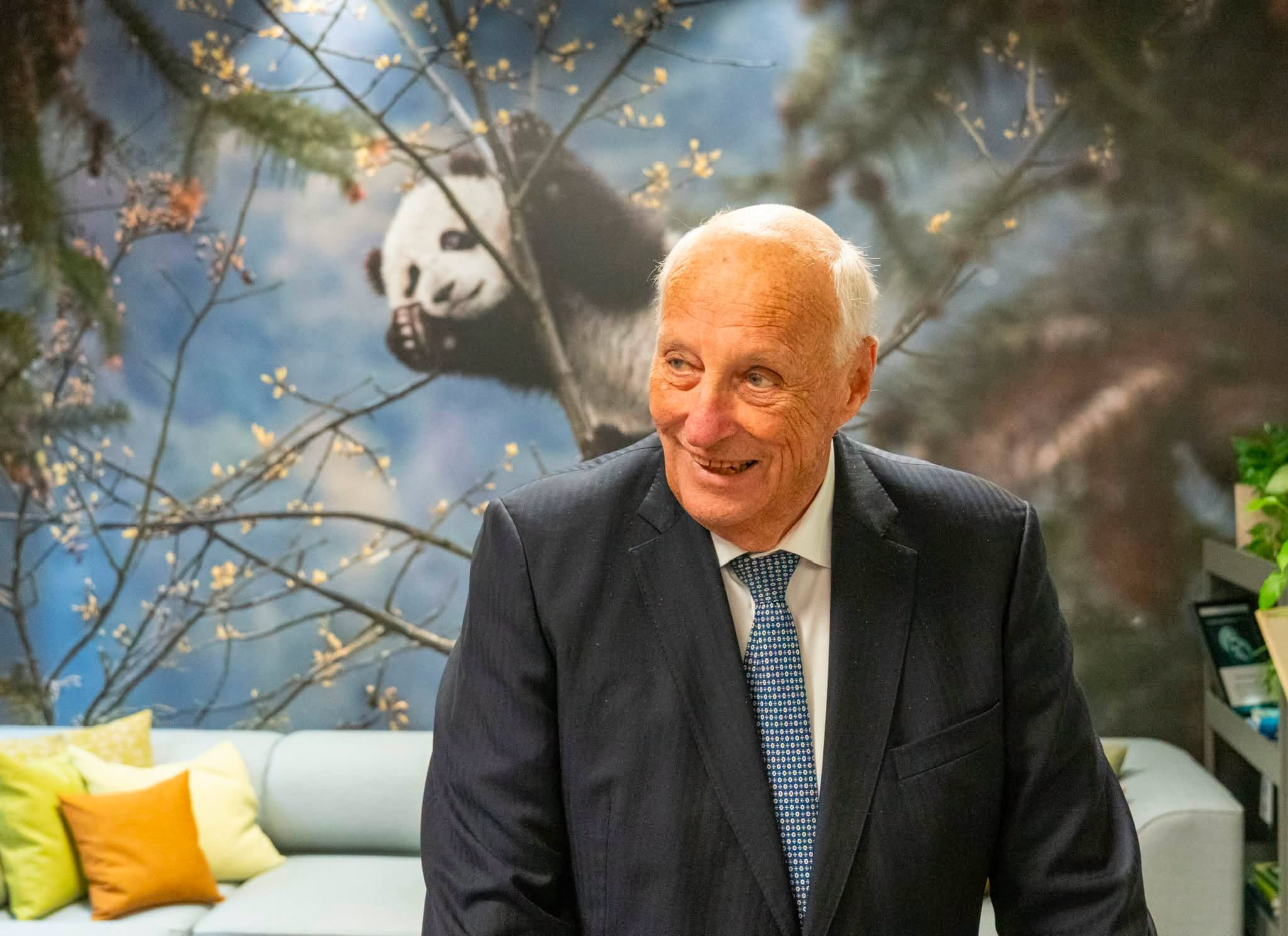 Bilde av Kong Harald