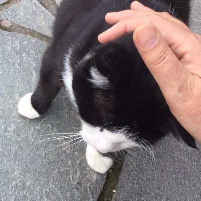 Det er godt med en liten kos etter maten.