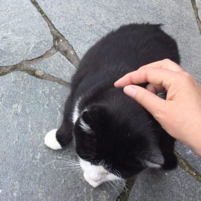Og litt mer.