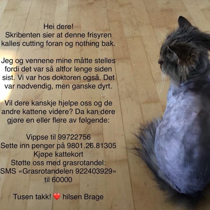 hjelposs Tusen takk! ❤️