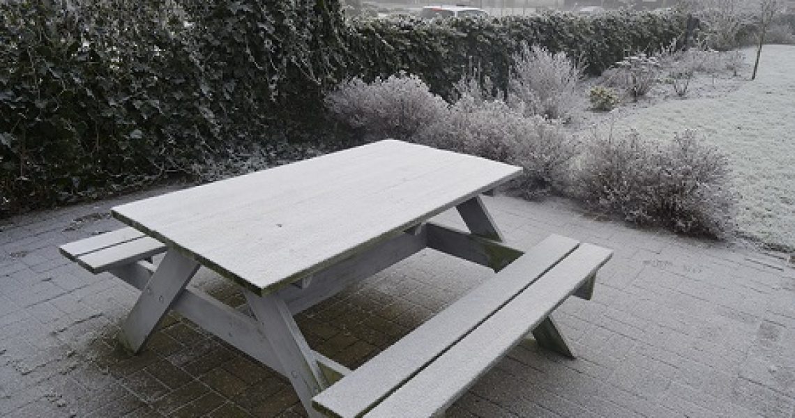 Snow table