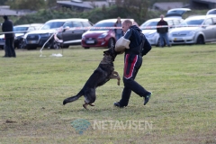 Dansk Politihundeforening - Danmarksmesterskaber 29.09.2018