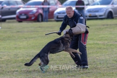 Dansk Politihundeforening - Danmarksmesterskaber 29.09.2018