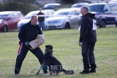 Dansk Politihundeforening - Danmarksmesterskaber 29.09.2018