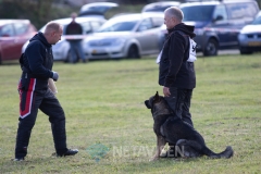 Dansk Politihundeforening - Danmarksmesterskaber 29.09.2018