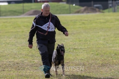 Dansk Politihundeforening - Danmarksmesterskaber 29.09.2018