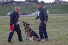 Dansk Politihundeforening - Danmarksmesterskaber 29.09.2018