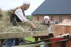 Høstdag på Museumsgården Karensminde den 2. august 2020 - Foto: Bent Nielsen