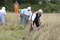 Høstdag på Museumsgården Karensminde den 2. august 2020  - Foto: Bent Nielsen