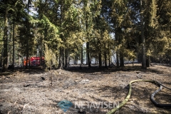 Brand i Lundgård Plantage mellem Donslund og Stenderup