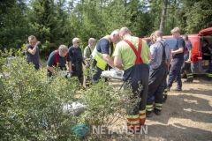 Brand i Lundgård Plantage mellem Donslund og Stenderup