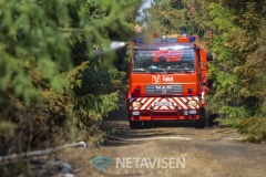 Brand i Lundgård Plantage mellem Donslund og Stenderup