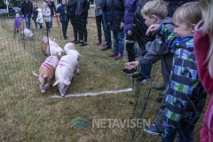 Sportsfest i Vesterhede 14. juni 2018