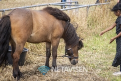 Vorbasse Marked 2019 - Lørdag den 20. juli 2019